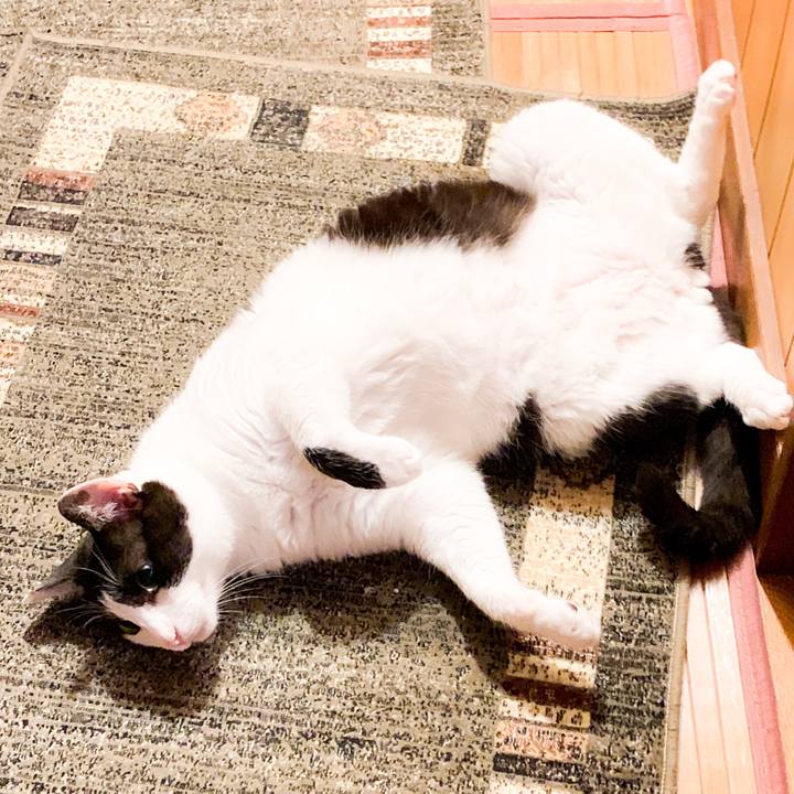 67a9dee3 b6cf 4f4e 9c01 0f2502ac2203 1565744913236