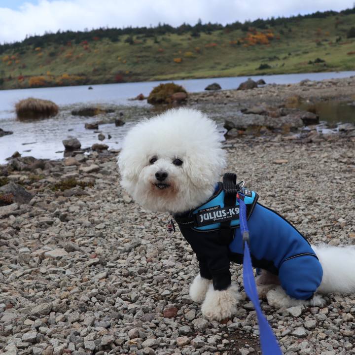 67a9eb59 ab68 4101 86ed 21e272b7a4d6 1602407167732