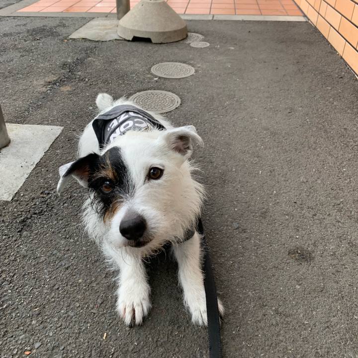 67a9fe03 5f7a 4c25 9c0f 43d31f3efeef 1650933186205