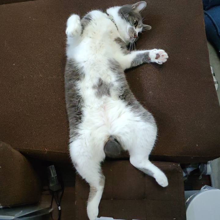 67aa38a3 d7f9 405d a5d0 ab5fc70437e3 1721207205501