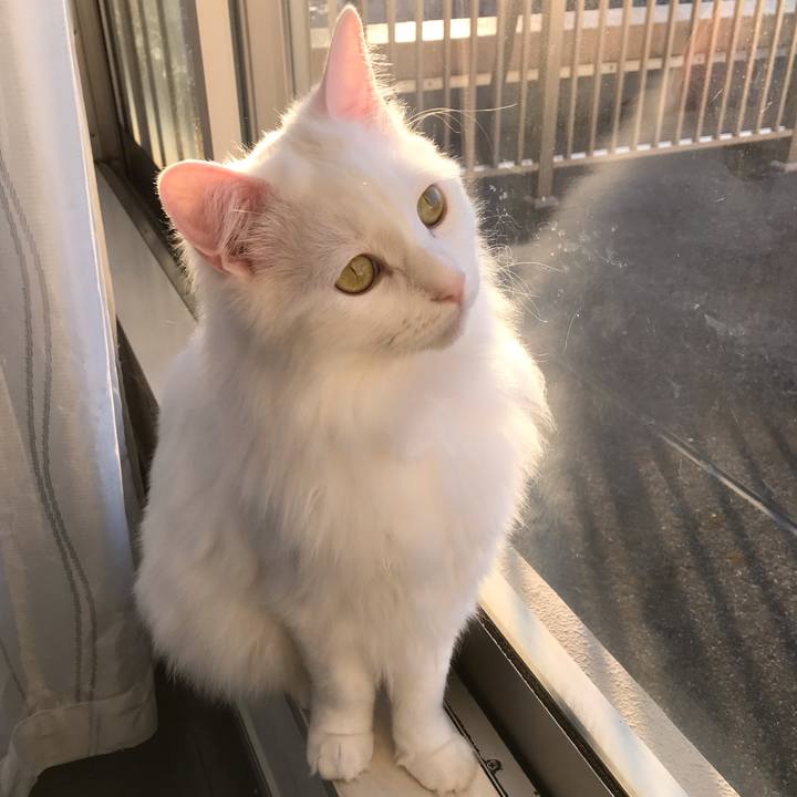 67aa3de1 cca9 4945 9517 19da0e0c6451 1548060903776