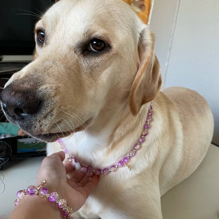 67aa4496 b05a 4ddc aba8 ecc473fa86b5 1642491073951