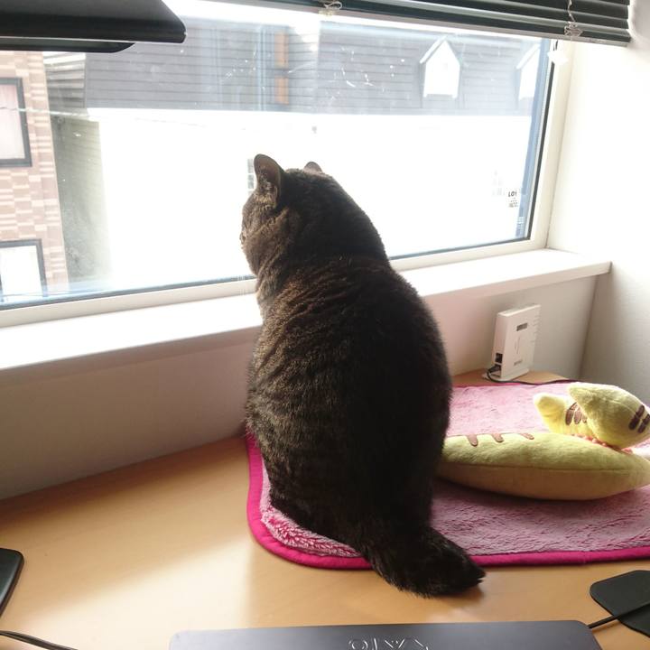 67aa476e 7d19 4972 9749 63495d09f4fe 1516072703819