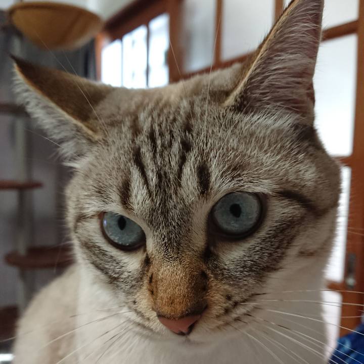 67aa52f4 4a36 4eed b98a 56bdf9e9d21f 1537079666608