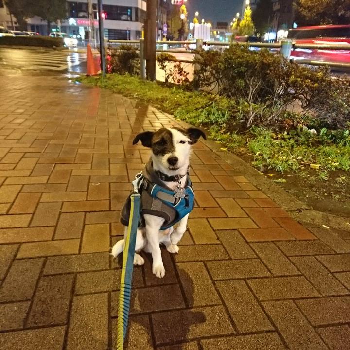 67aa7c00 ca18 4397 be3d edd3aff714ba 1511351655228