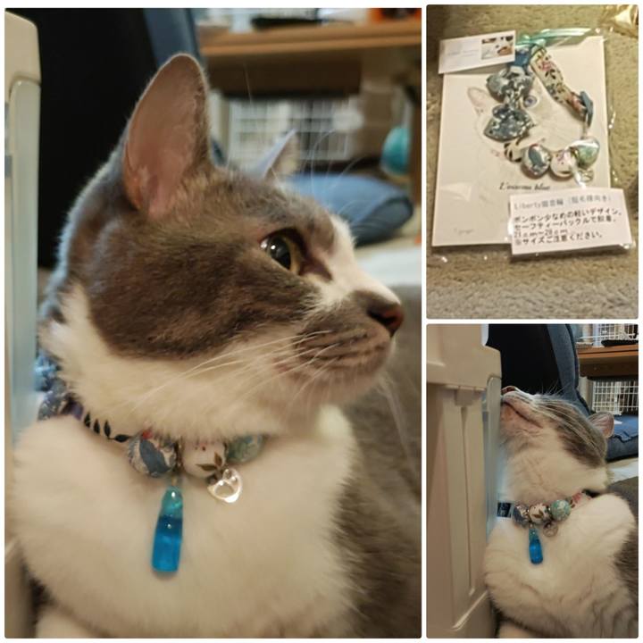 67aaab61 9d39 448a be23 7d45fd8d0b9a 1664622927348