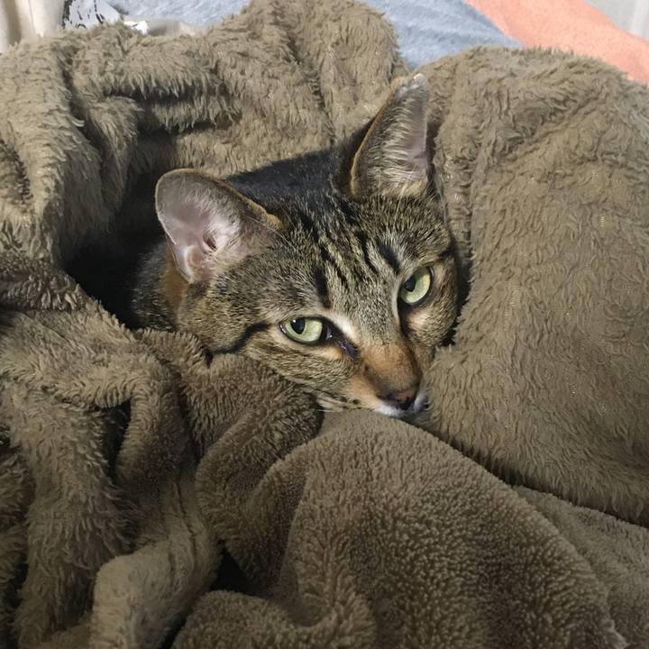 67aad2f8 3ce7 4c78 928f c7f345eb66c7 1578129867131