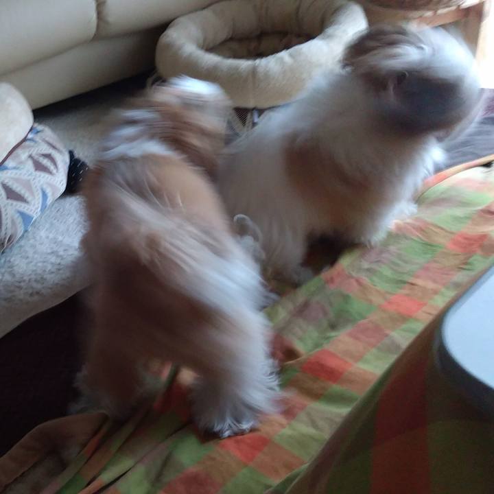 67aad9bb 1fcf 496e ba57 201115c0d8ff 1574394170074