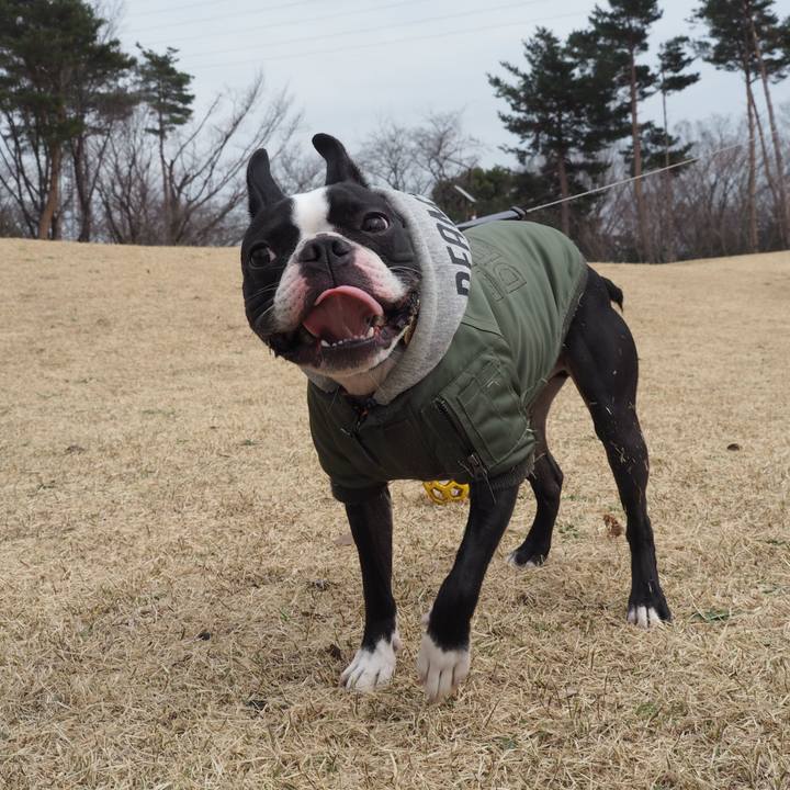 67ab08ee 6828 41ab 8ff5 c439cbf678d6 1583570657644