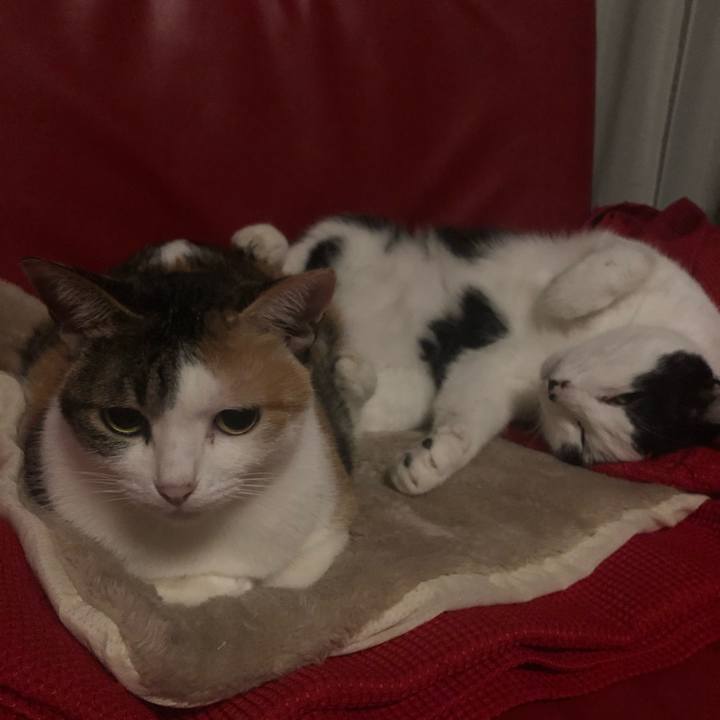 67ab0f02 55d0 429b a949 4a9a69a6ecb3 1603121254800