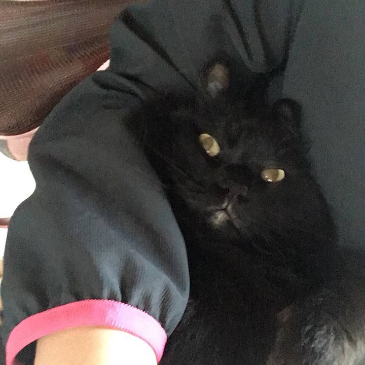 67ab2463 c27b 47d0 8597 d47219b80f3a 1527756000675