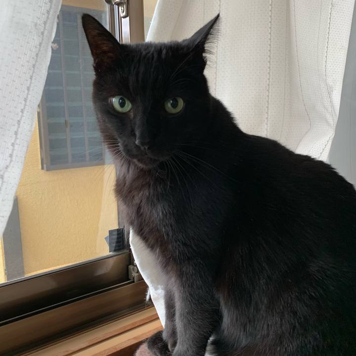 67ab382b c74a 4c57 a196 5c4d25a2c68e 1582680300020