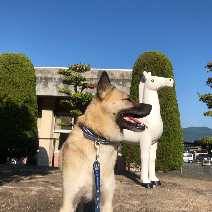 67ab482a e35b 477d 8971 84ebde540777 1566042394003