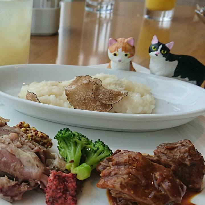 67ab6b16 3a0b 414f 8a6e 0285f72f7323 1536971624643