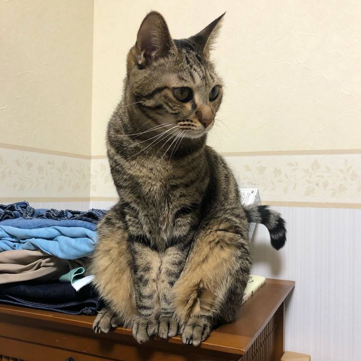 67ab7f40 8a54 4d72 ae62 4ed6345d6ef9 1573158963998