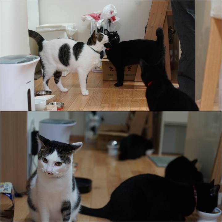 67ab8d7d 8a52 477d 9f88 009e5dca9e65 1531352286814