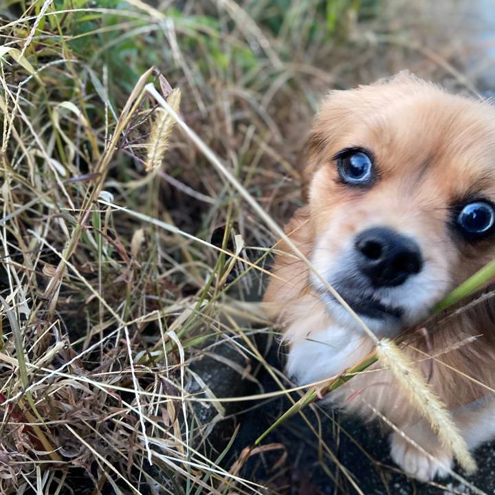 67aba58e 06fc 4ed8 9931 02ecad83f337 1578608342050