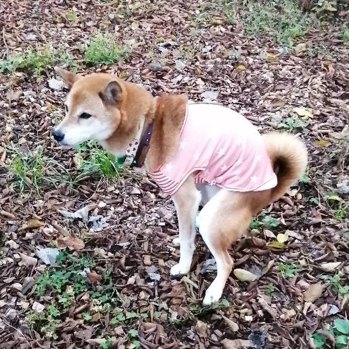 67abd6b2 083e 41c6 b9a9 9250fa02336e 1633874021745