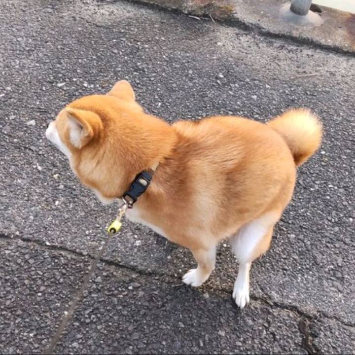 67abdddc d7c5 4347 a532 466a86154272 1759289083253