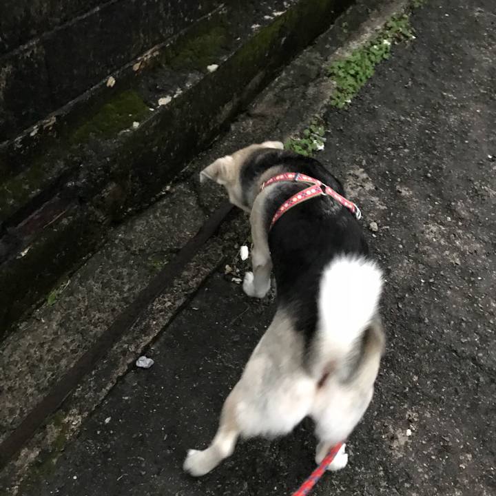 67abf486 62a7 49e0 a3a9 55610bd5bf90 1517310270866