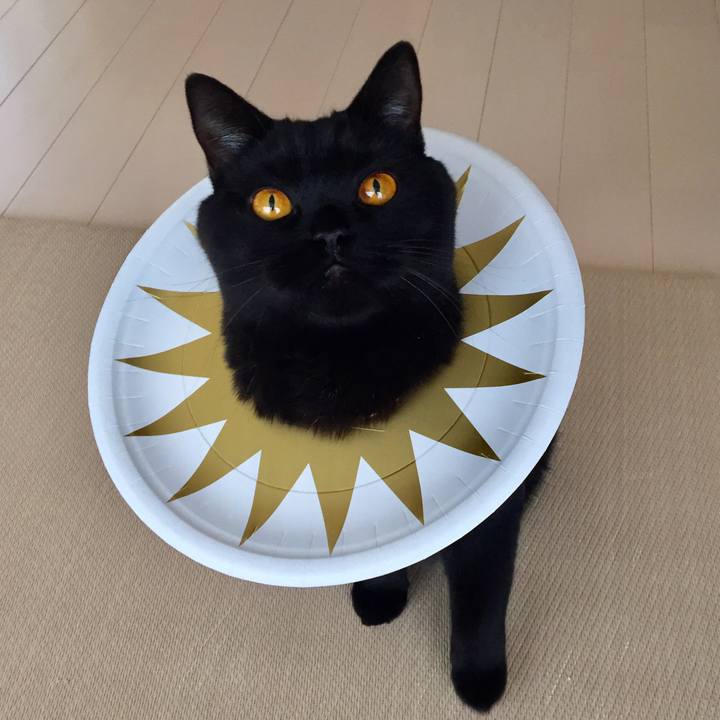 67ac1b3f 6064 43e7 8c5c 4871d05e3ef2 1539558104719