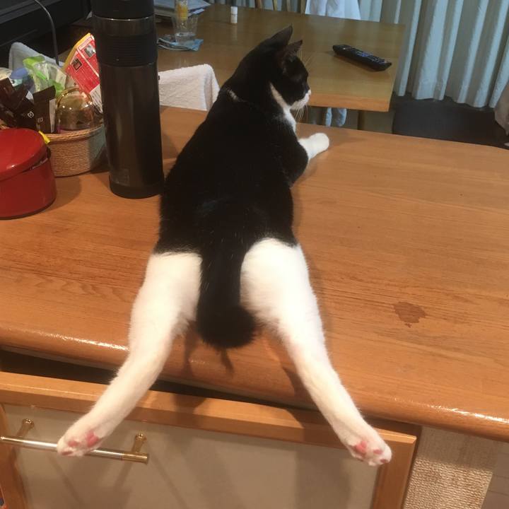 67ac3347 07c3 4c1d b954 3dc9140f6411 1597802696528