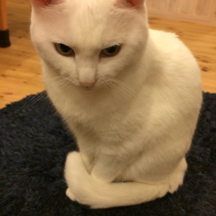 67ac4556 6fa4 488a bdf2 085929208390 1508587416826