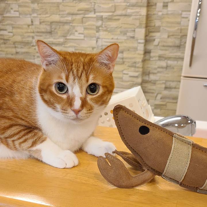 67ac48da b1b4 4ef6 84cf e972badb95f2 1633139290046