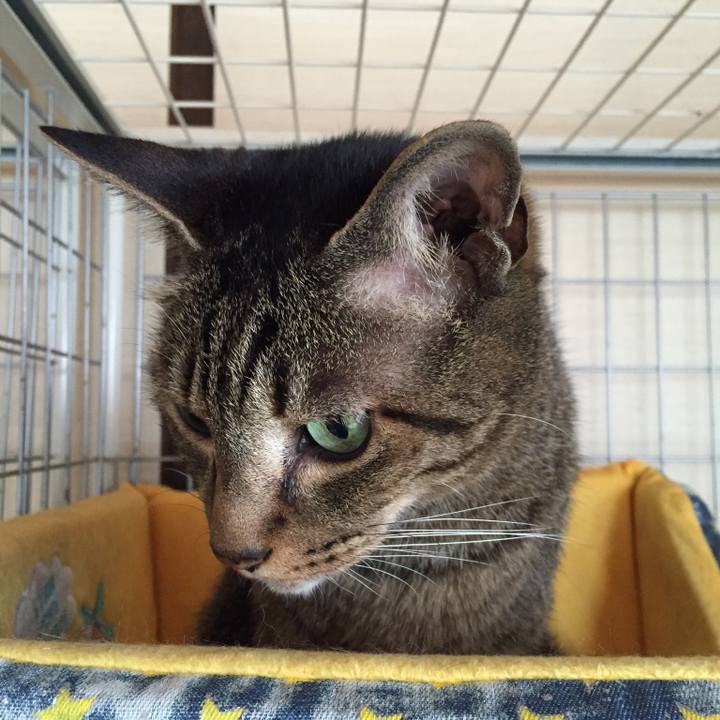 67ac646d cb48 418b bda2 dafcc60747e8 1528171653681