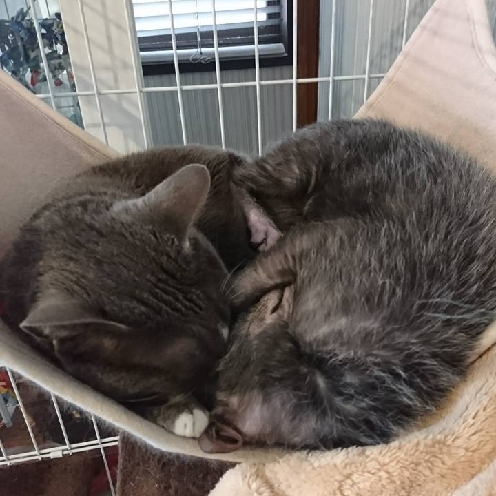 67ac7899 7503 4ab1 b395 55c14cb2d9e3 1517891680776