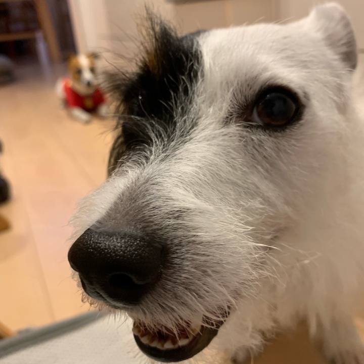 67ac9eda ec07 44e1 b940 485511c4c65a 1563443750309