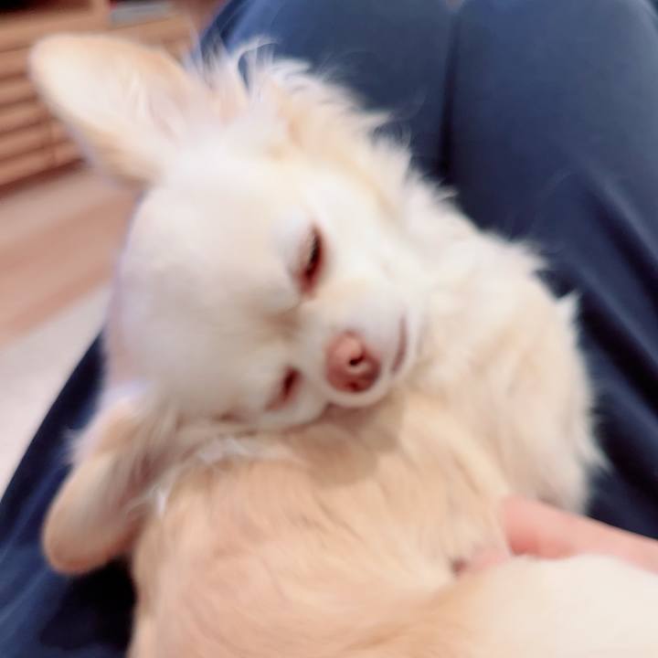 67acb0ee 3273 43be 90d4 05cf6a72d9f9 1709766973283