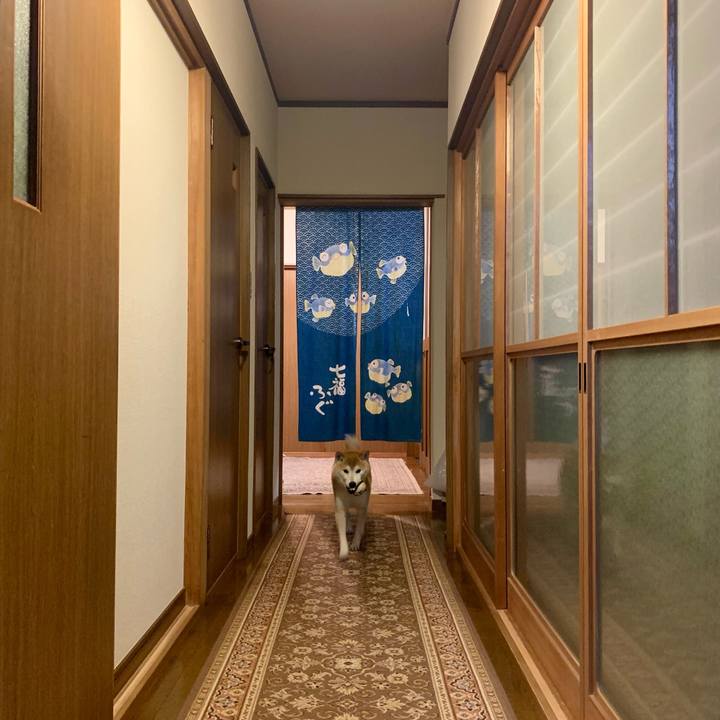 67acdd73 9536 44c8 a398 4e4333cd8718 1677229572980