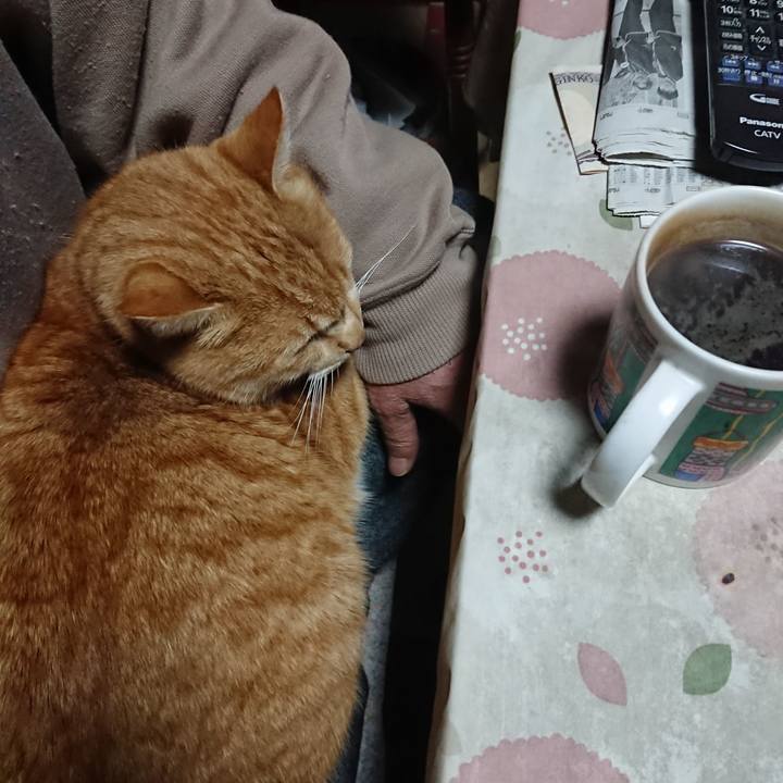 67ace0fd 1826 4c85 9e98 634a56c79ce8 1578426783543