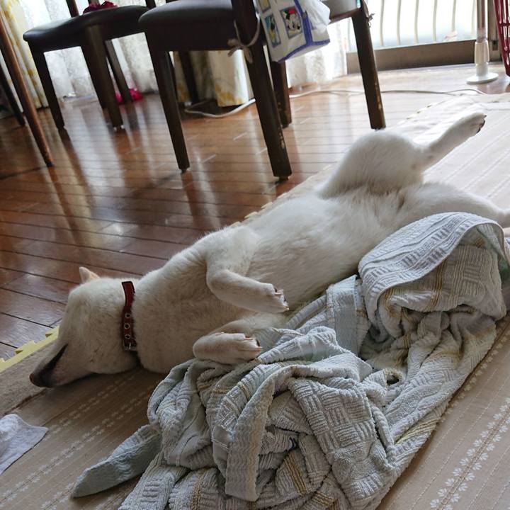 67ad0554 0247 4672 99bf bb5801a013a7 1529385665458