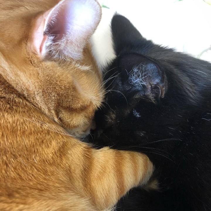 67ad314a e859 4f1b aaab c0198db717a0 1574570249949