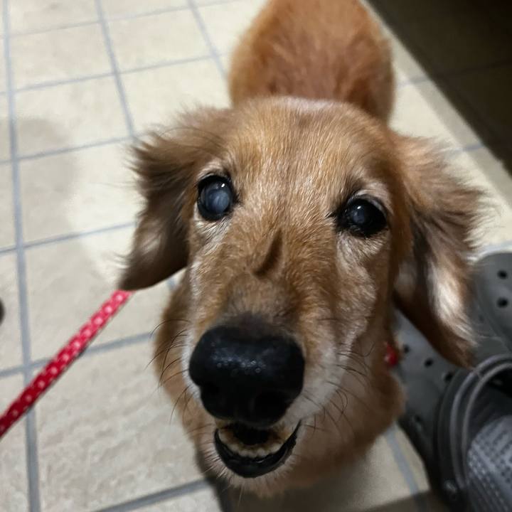 67ad4f93 6233 45a3 86ef 000d8428124f 1657365933978