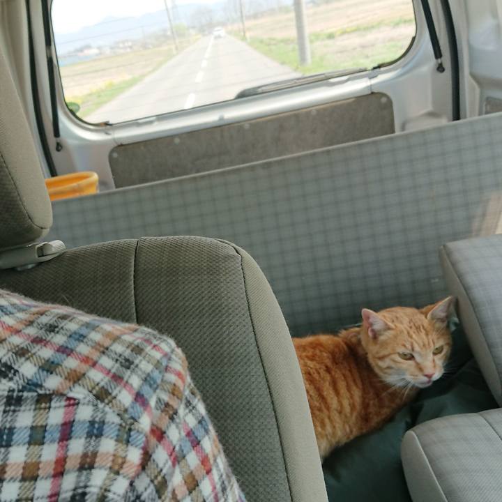 67adcc77 07cb 4bc4 8b11 c657e0a30147 1588471606673