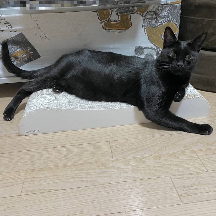 67ade0f4 1a32 4044 bfab 61fb76877887 1692529281230