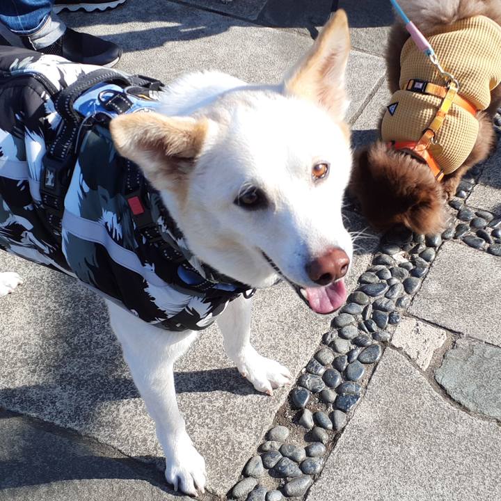 67adf6e5 12bd 47f3 99fb 5380bd169b11 1676697731067