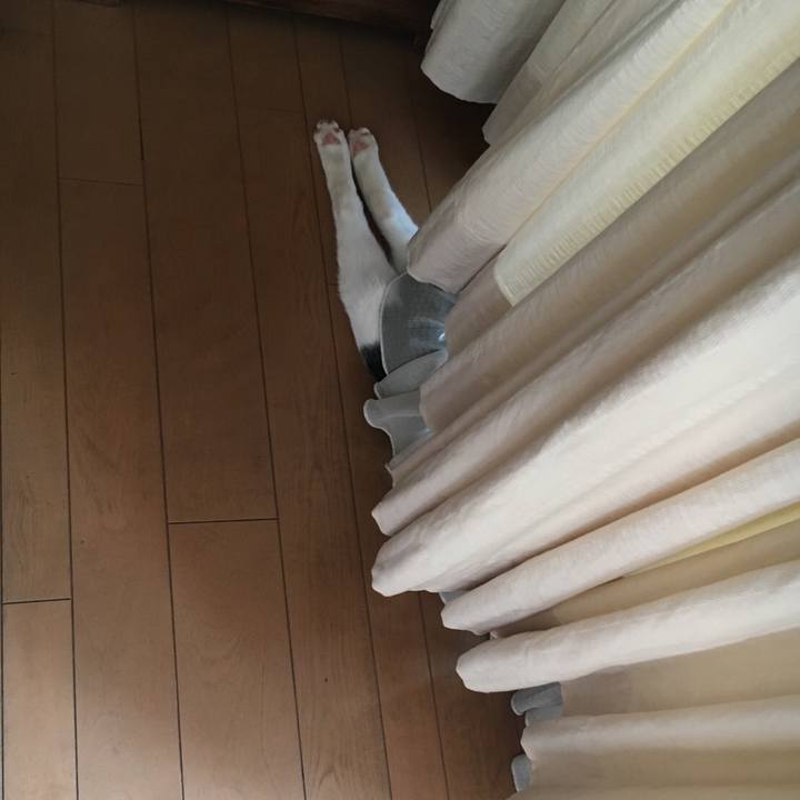 67ae22ed e682 41a4 85d8 8ca57c4c1592 1526974055268