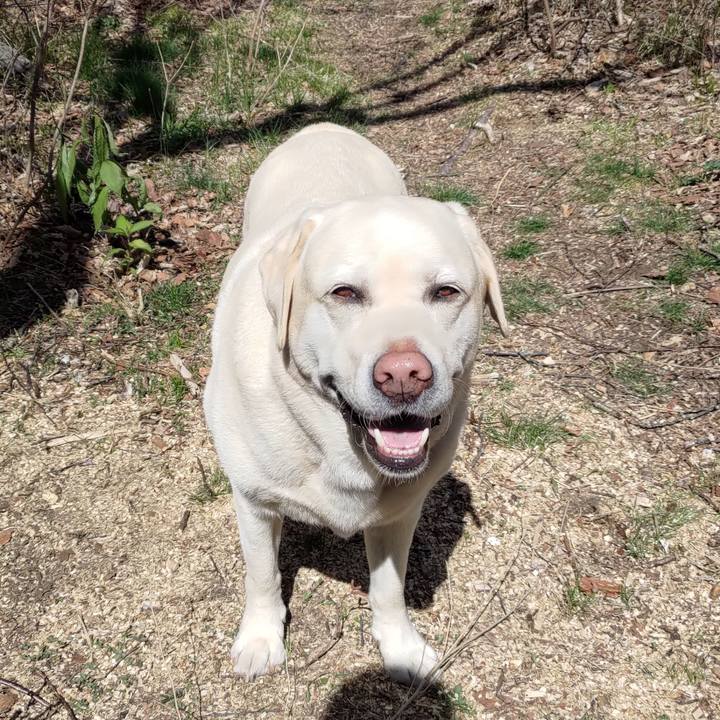 67ae27de cba6 403e 927d 66f45cea7bef 1683189540965