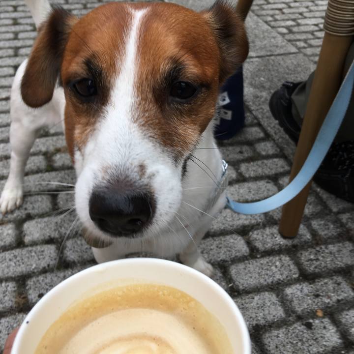 67ae4720 7a41 4a79 ad14 59028f7db764 1507687128297