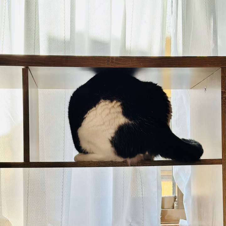 67ae7b00 b69f 4dea b193 25a8bfe8be68 1704677790320