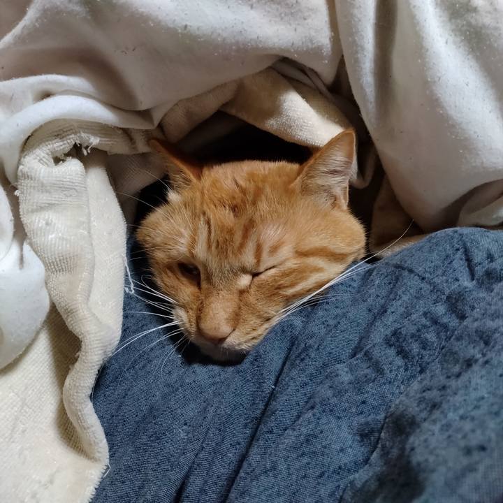 67ae9a6f e1e4 49e3 94c2 69756fed8db5 1701347213774