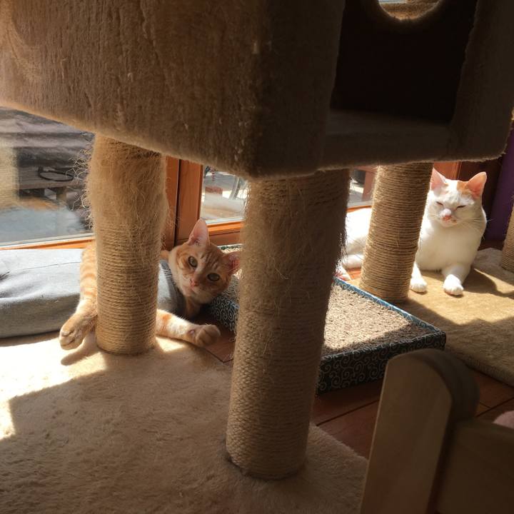 67aec199 65a0 41a5 97e8 4098251acf04 1523157287691