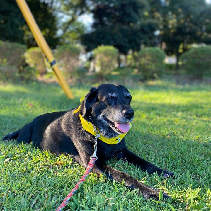 67aee71b 44ad 4583 aad3 457608de8721 1627978204435