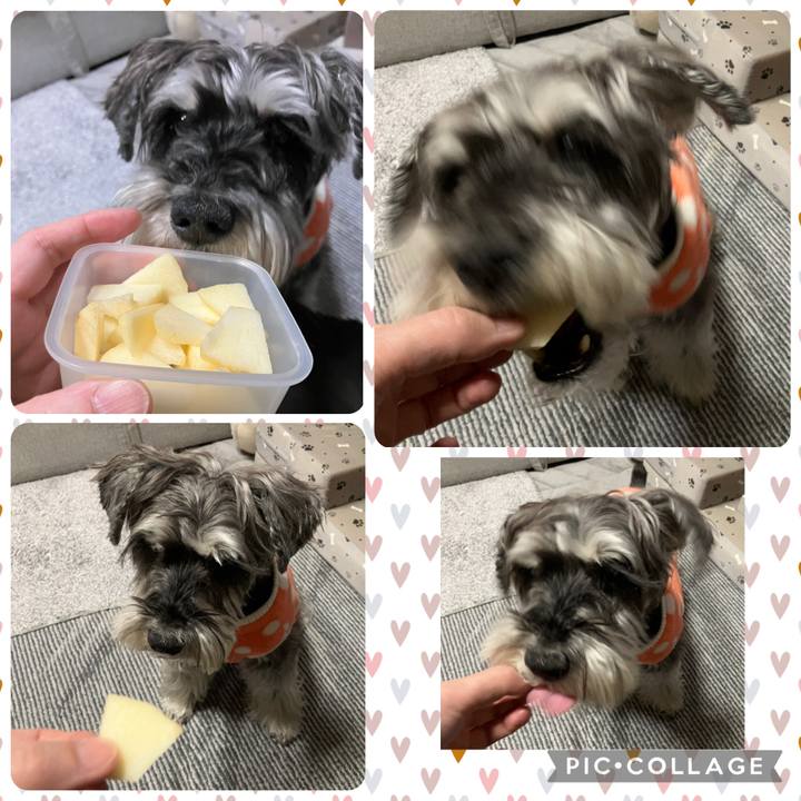 67af2573 2ae9 4d35 93df 5cf3f82648c7 1774623575330