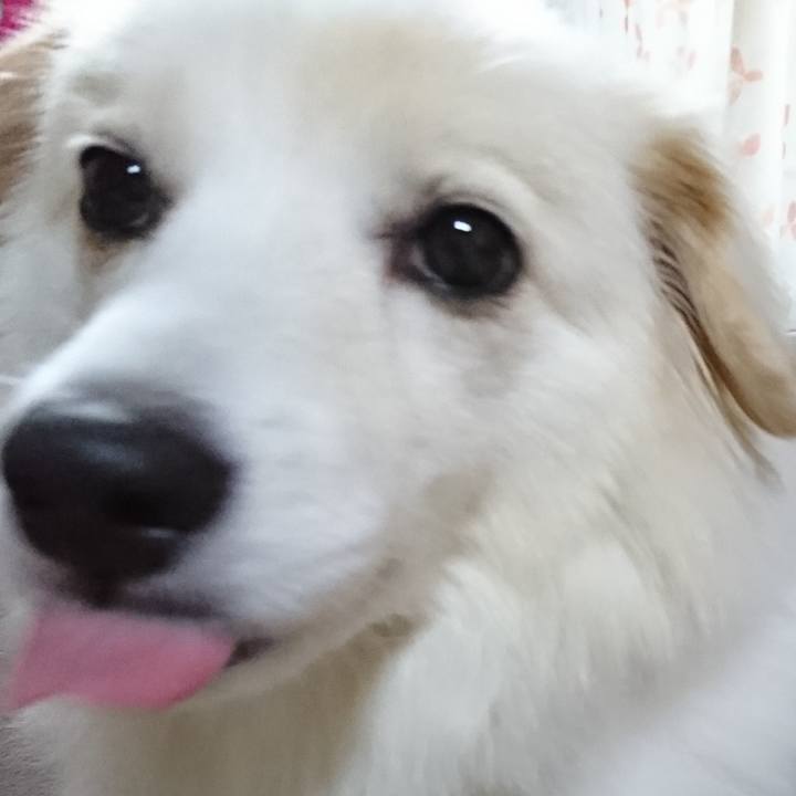 67af5b08 e5f9 414b 8171 c1090f80c3ae 1539595132853