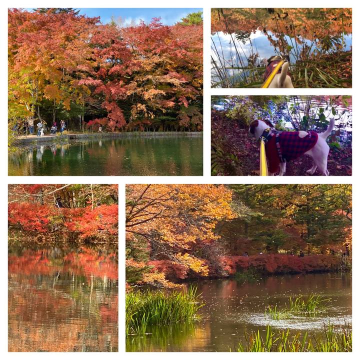 67af5cb2 e5a6 49cb 9125 77cffb3cb577 1573132075633